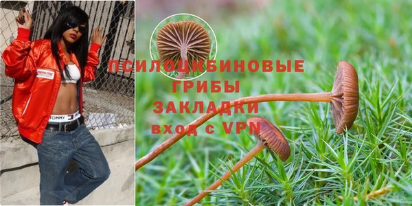 прущая мука Балабаново